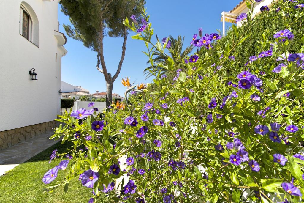 Arenda Pino Alto Villa Gallo ミアミ・プラトーヤ 部屋 写真